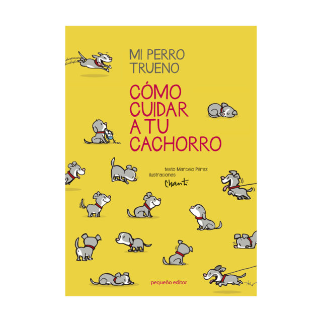 Mi perro trueno: como cuidar a tu mascota